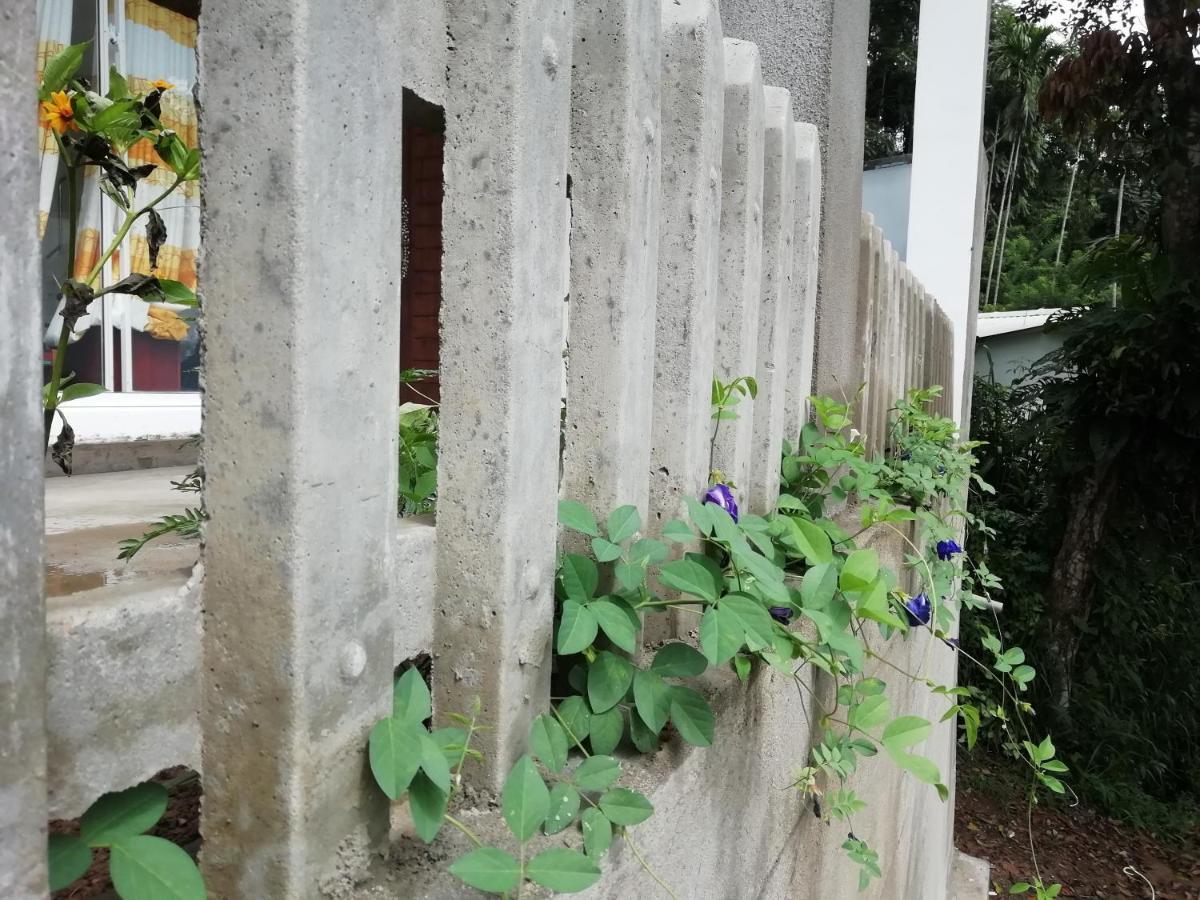 Ella Delightful Surround Homestay Buitenkant foto