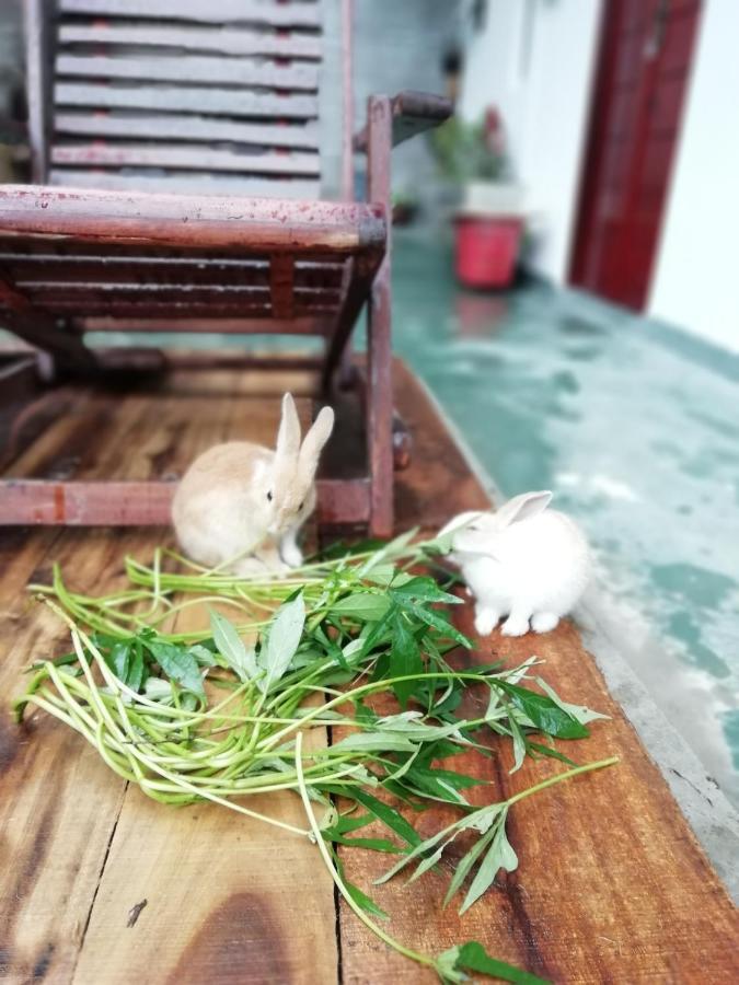 Ella Delightful Surround Homestay Buitenkant foto