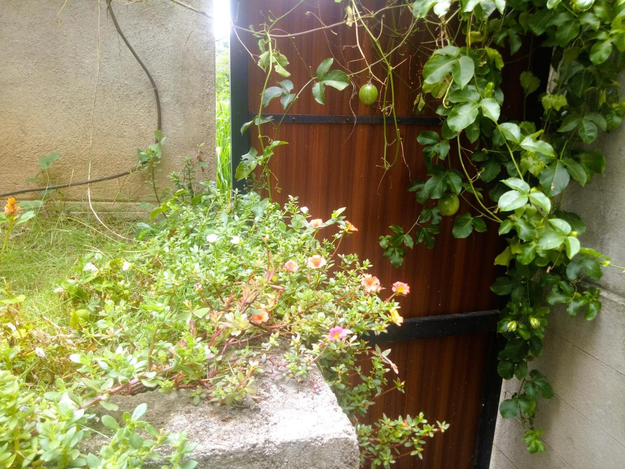 Ella Delightful Surround Homestay Buitenkant foto